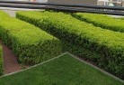 Aclandcommercial-landscaping-1.jpg; ?>